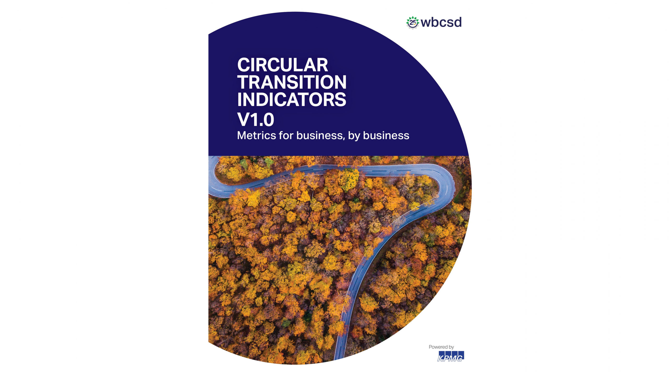 Circular Transition Indicators v1.0 – Metrics for business, by business