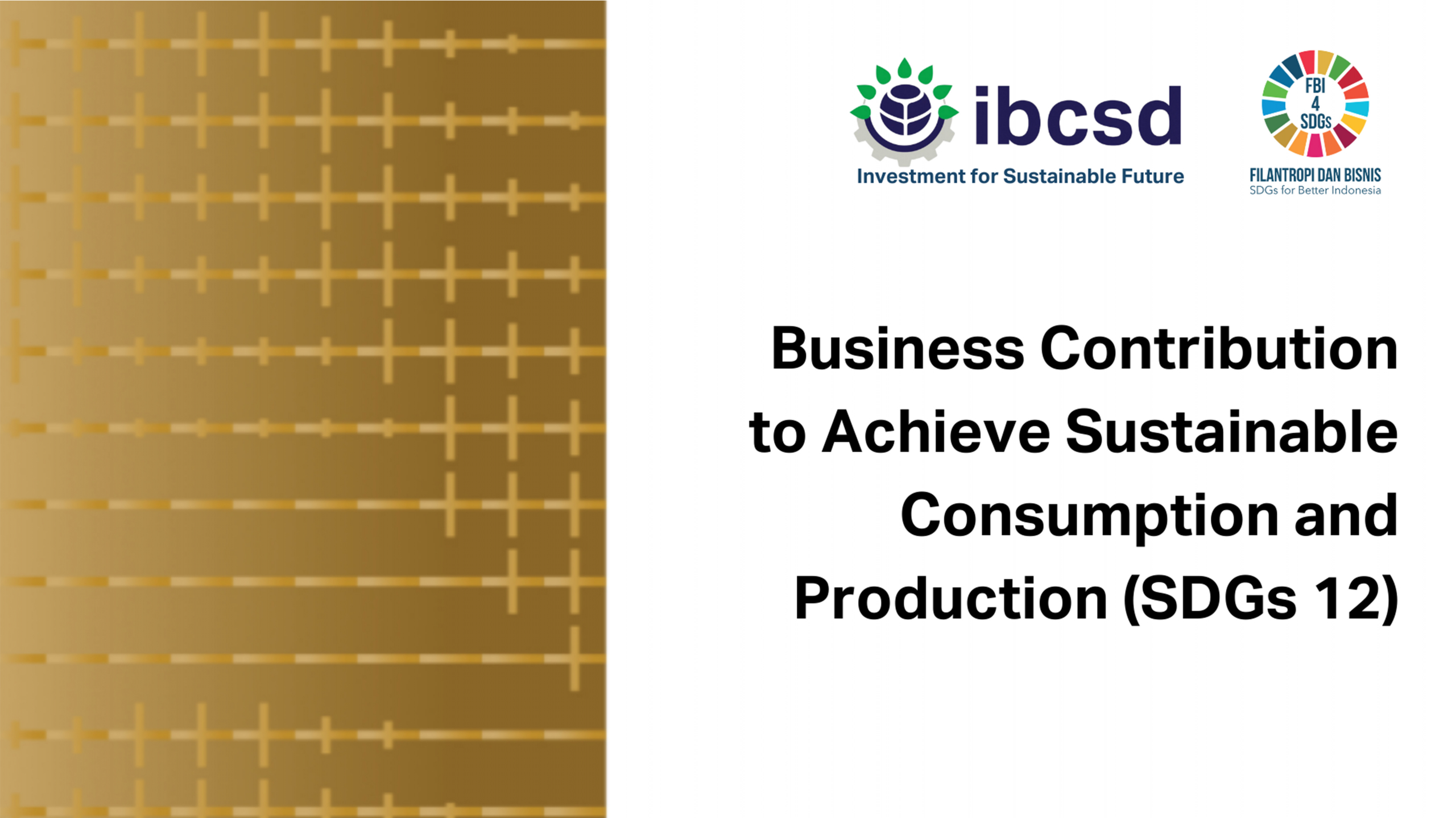IBCSD Launches Book on the Business Contribution to Achieve Sustainable Consumption and Production (SDGs 12)