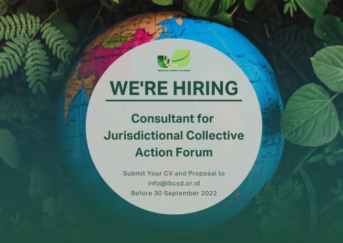 Consultant for Jurisdictional Collective Action Forum