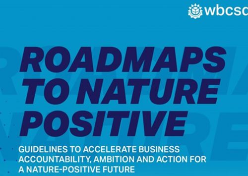 Roadmaps to Nature Positive: WBCSD’s Guideline for Sustainable Business