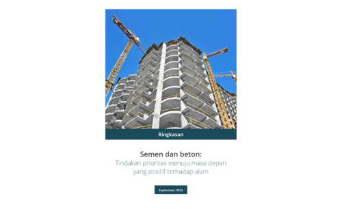Cement and Concrete Sector Guideline