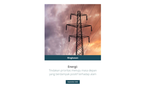 Energy Sector Guideline