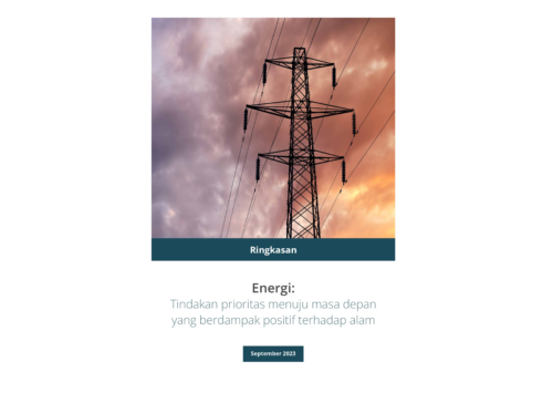 Energy Sector Guideline