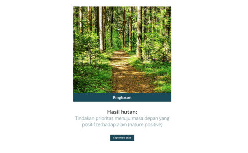 Forest Sector Guideline
