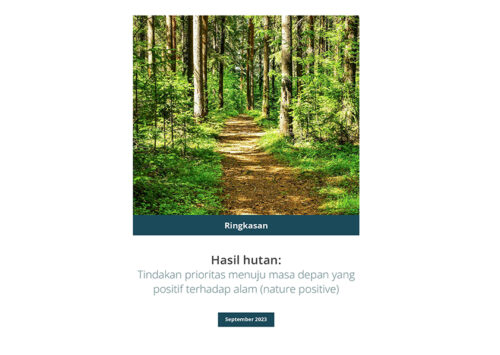 Forest Sector Guideline